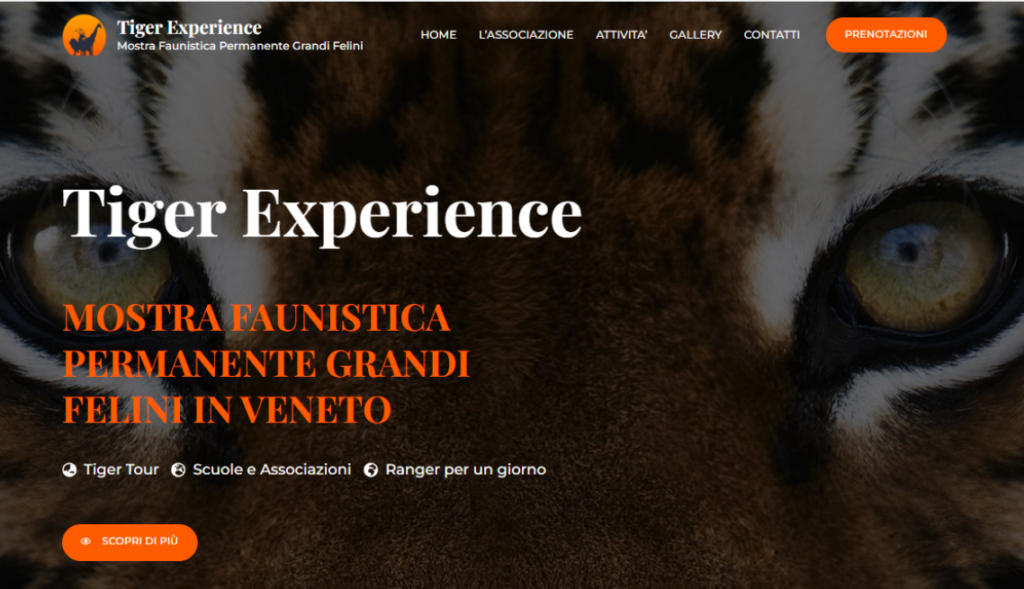 header sito tiger experience filippo russo web design